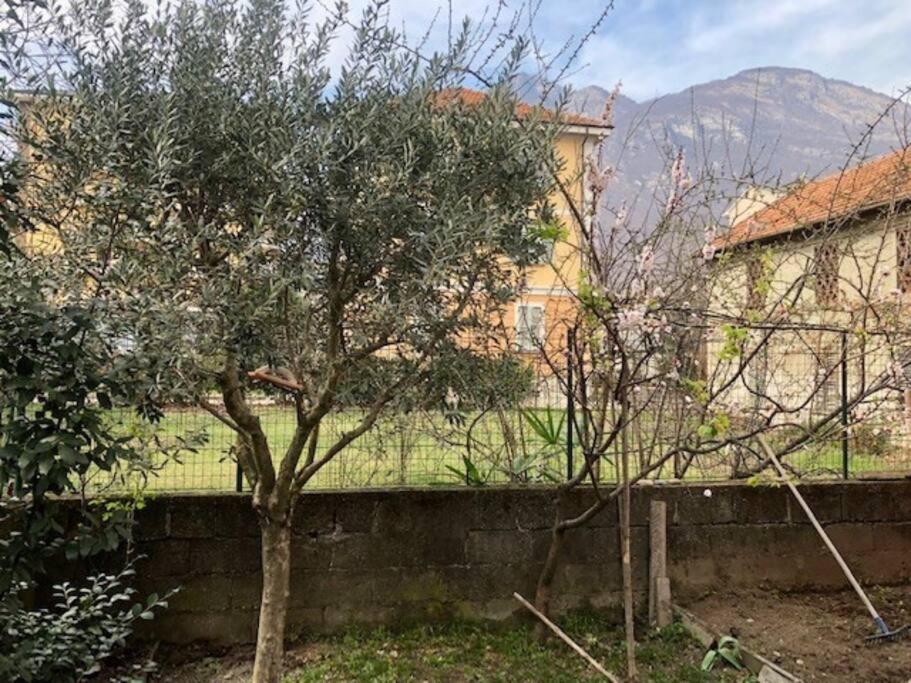Giuditta Freecarpark&Garden Domodossola Exterior foto