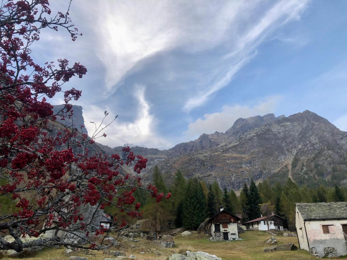 Giuditta Freecarpark&Garden Domodossola Exterior foto