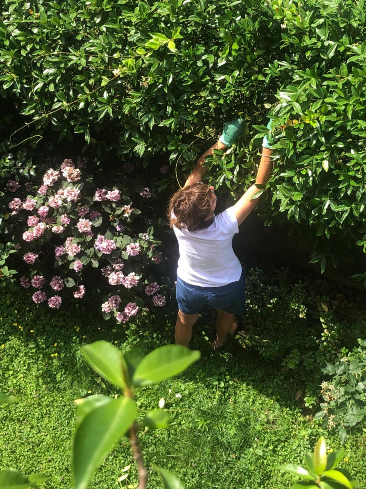 Giuditta Freecarpark&Garden Domodossola Exterior foto